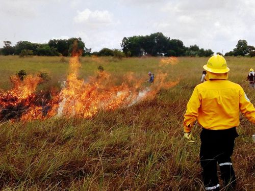 Quilichao ya cuenta con bomberos especializados en incendios forestales Quilichao ya cuenta con bomberos especializados en incendios forestales