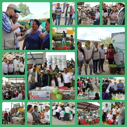 Educación ambiental