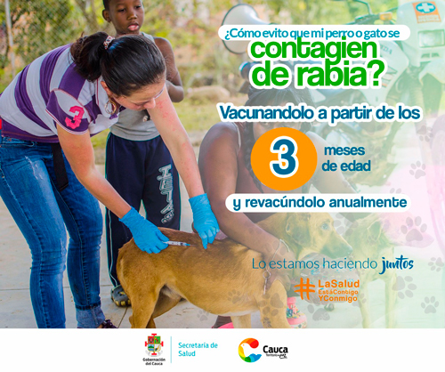 Incremento de casos positivos de rabia silvestre en el Cauca Incremento de casos positivos de rabia silvestre en el Cauca