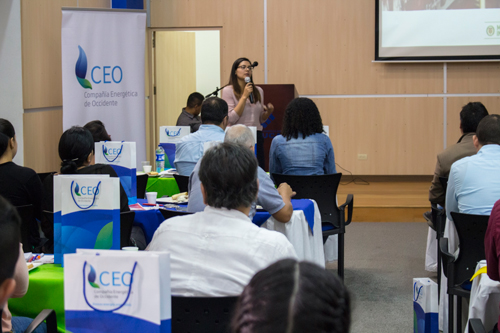 Empresas del Cauca generan energía a través de sus residuos industriales