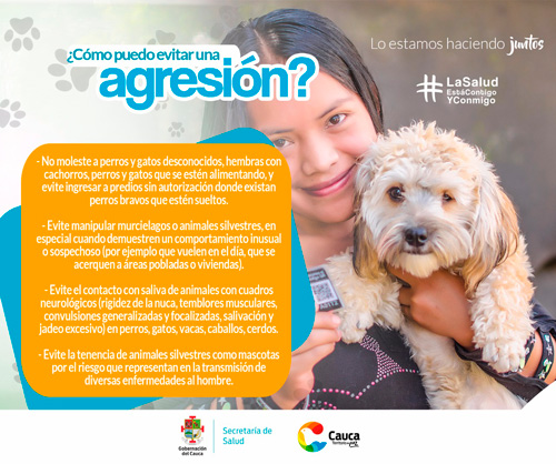 Incremento de casos positivos de rabia silvestre en el Cauca Incremento de casos positivos de rabia silvestre en el Cauca