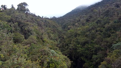 El encanto del Alto Magdalena – Crónica de viaje