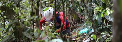 Presuntos guerrilleros impiden desminado en Miranda