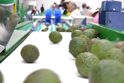 Centro de acopio en Piendamó beneficiará a 1600 familias agricultoras