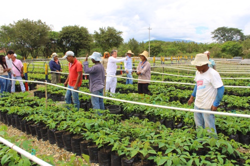 Inauguran Vivero Paraíso en Santander de Quilichao