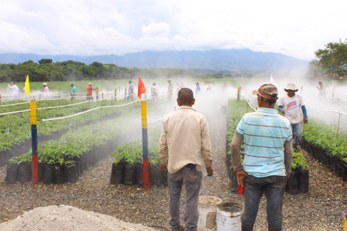 Inauguran Vivero Paraíso en Santander de Quilichao