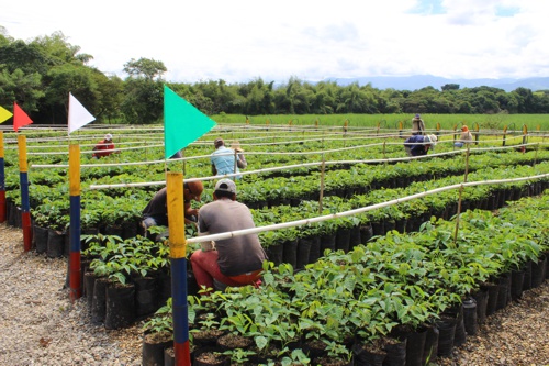 Inauguran Vivero Paraíso en Santander de Quilichao