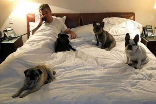LOS PERRUNOS