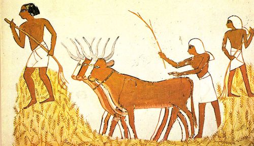 MINISTERIO PARA EL CAMPO