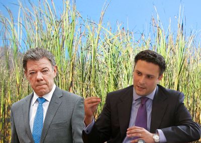 SHNAIDER ENFRENTA A LOS AZUCAREROS POR UNA CURUL