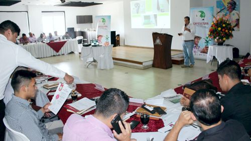 El norte del Cauca se la “juega” por el café