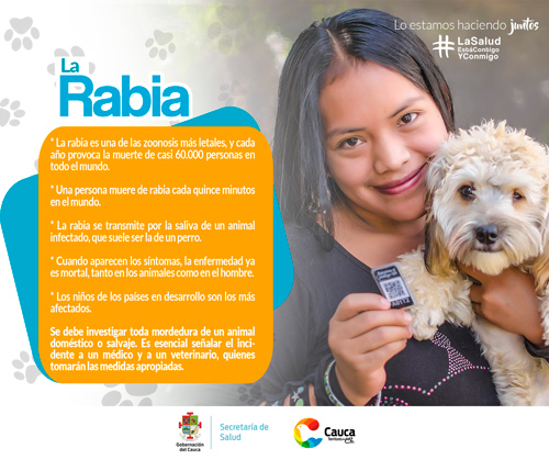 Cauca conmemora 10 años sin casos de rabia humana Cauca conmemora 10 años sin casos de rabia humana