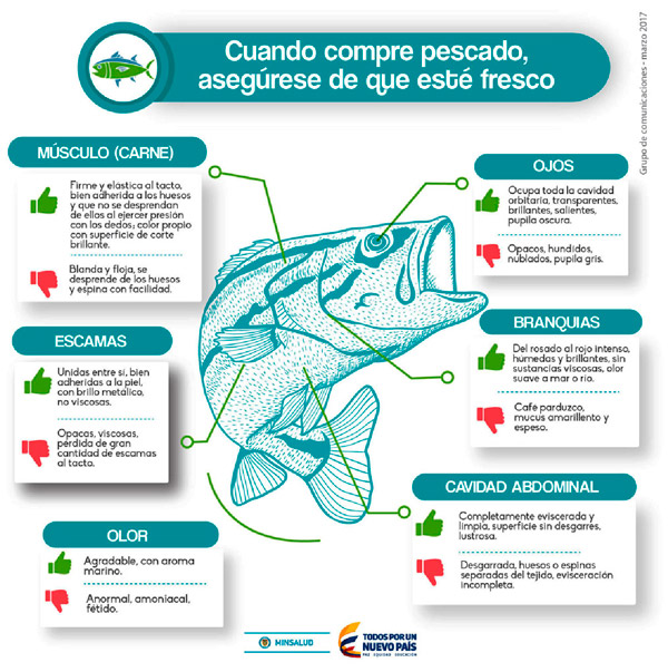 Prevenga enfermedades por consumo de pescados y mariscos