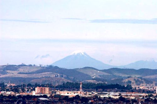 Forwards nevados, novados y videos de ambiente electoral