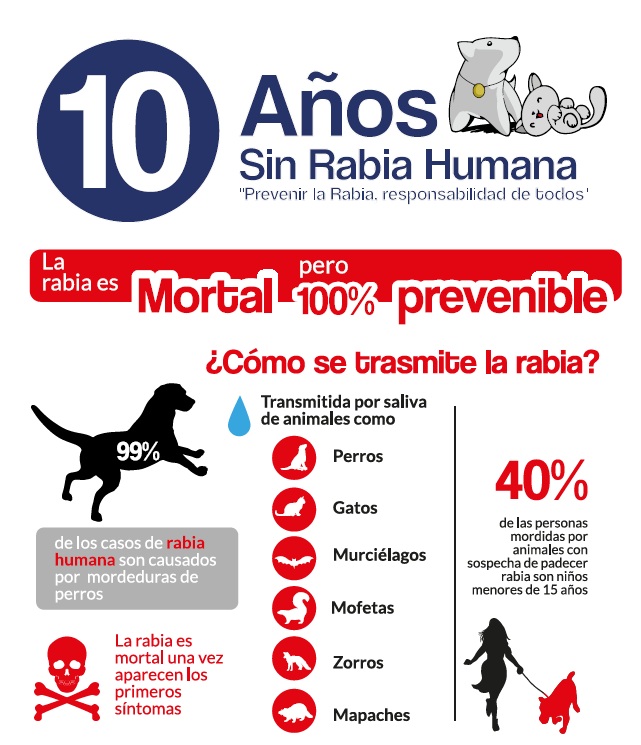 10 años sin casos de rabia humana