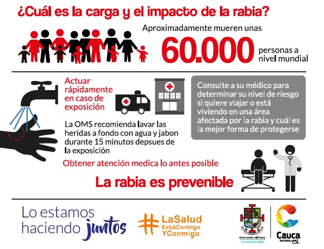 10 años sin casos de rabia humana