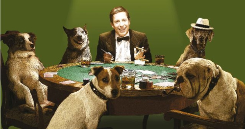 Entre perros, traders y humanos nos entendemos