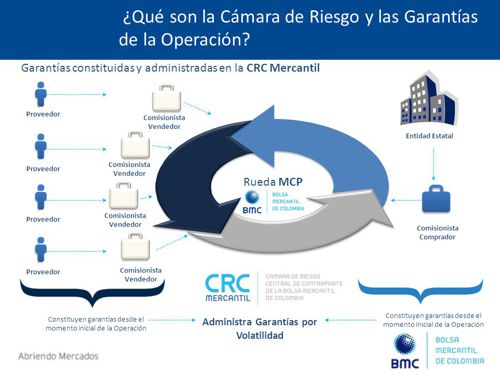Extraños rumores acerca de una mona rara