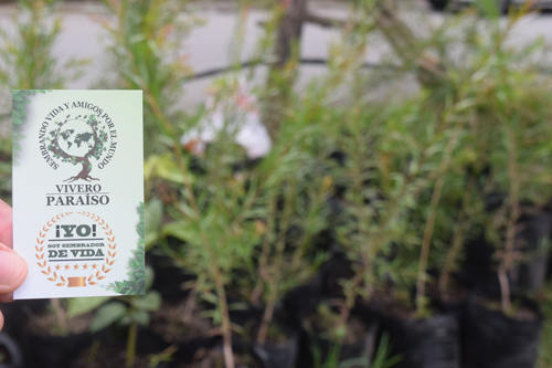 Popayán busca ser una “Ciudad verde”