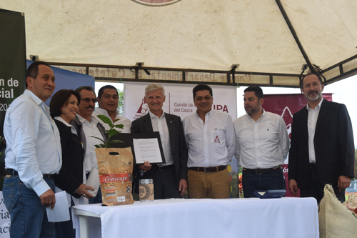Café del Cauca, es el cultivo de la Paz Café del Cauca, es el cultivo de la Paz