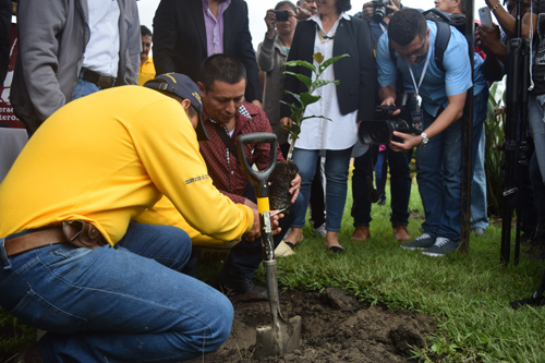 Café del Cauca, es el cultivo de la Paz Café del Cauca, es el cultivo de la Paz