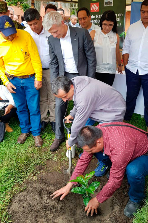 Café del Cauca, es el cultivo de la Paz Café del Cauca, es el cultivo de la Paz