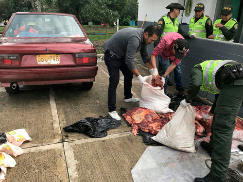 Carne de caballo se iba a distribuir en Popayán Carne de caballo se iba a distribuir en Popayán