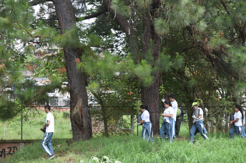 Popayán busca ser una “Ciudad verde”