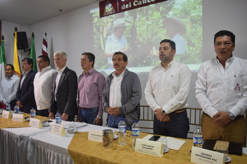 Café del Cauca, es el cultivo de la Paz Café del Cauca, es el cultivo de la Paz