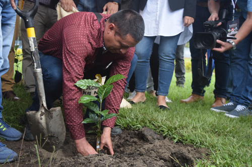 Café del Cauca, es el cultivo de la Paz Café del Cauca, es el cultivo de la Paz