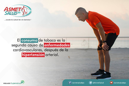La epidemia mundial del tabaquismo La epidemia mundial del tabaquismo