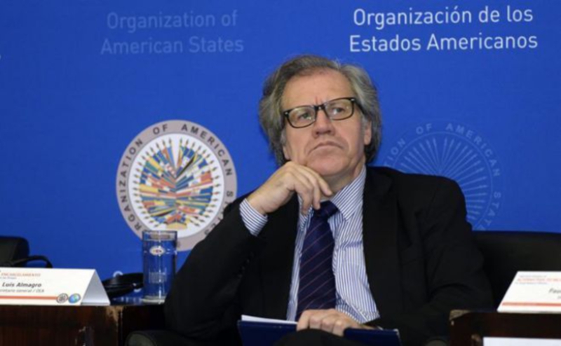 Veeduría Electoral de OEA en Colombia