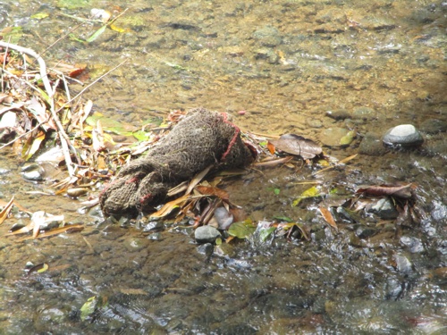 No seas basura con el río Quilichao
