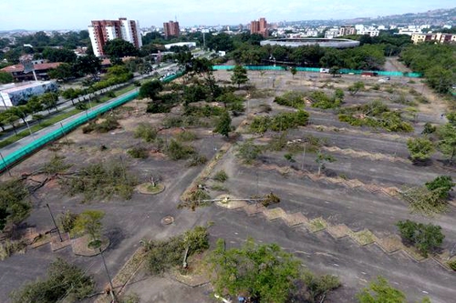 La Fundación Defensa de Inocentes rechazó a través de un comunicado el arboricidio realizado el día 19 de Junio en los parqueaderos de la Plaza de Toros Cañaveralejo de la ciudad de Cali