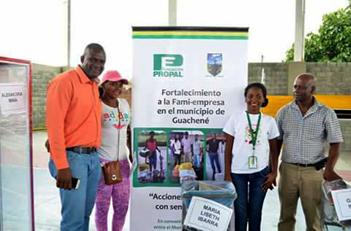 Fortalecimiento de la pequeña empresa en Guachené Fortalecimiento de la pequeña empresa en Guachené