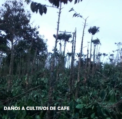 Pueblo Misak de Caldono suplica protección humanitaria