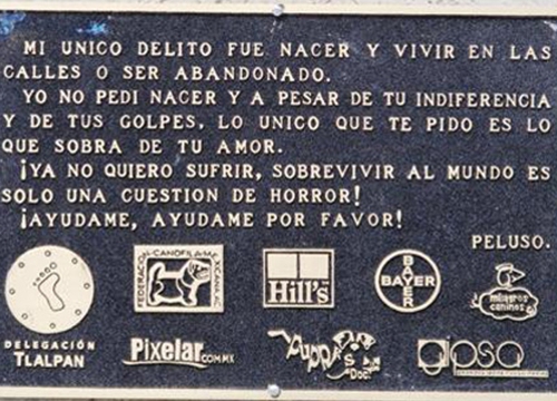 Día mundial del perro callejero