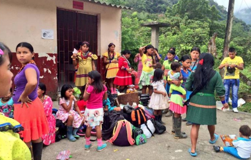LOS NIÑOS DE EL DOVIO