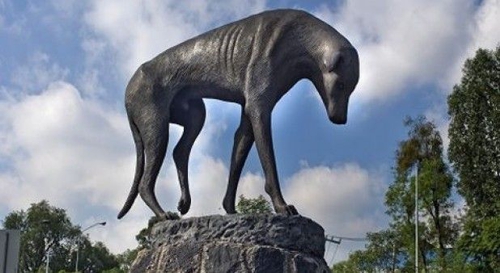 Día mundial del perro callejero