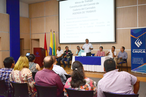 Constitución del Comité de Cadena del Cannabis en el Cauca