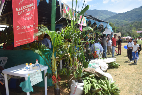 El sábado 08 de septiembre serán las ‘Elecciones Cafeteras’ en Cauca El sábado 08 de septiembre serán las ‘Elecciones Cafeteras’ en Cauca
