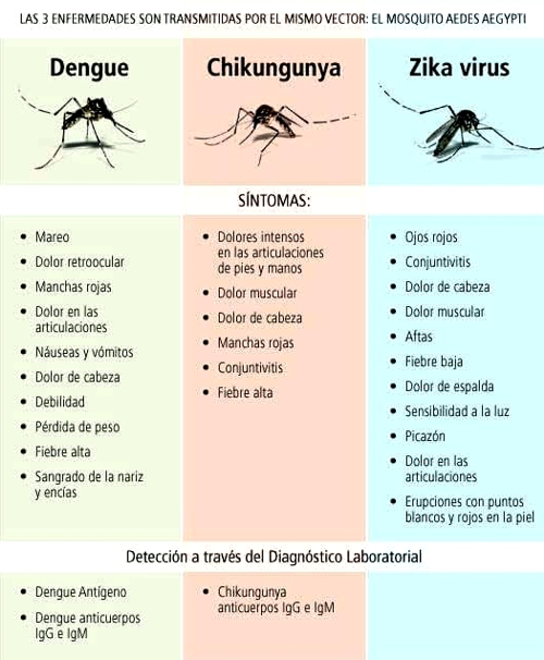 Prevengamos el Zika, Dengue y Cikunguña, en Guachené