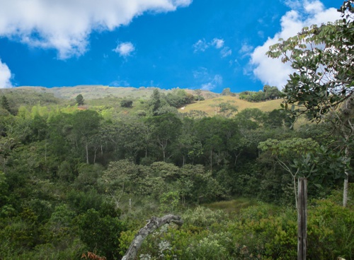Asertividad, liderazgo y trabajo en equipo desarrolla la ESE Norte 2, en el norte del Cauca Asertividad, liderazgo y trabajo en equipo desarrolla la ESE Norte 2, en el norte del Cauca