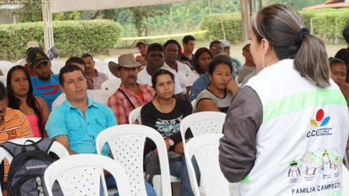 Productores de piña se preparan para exportar