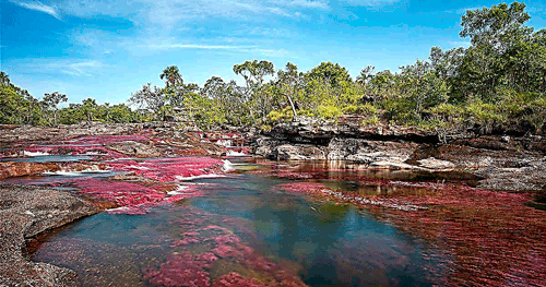 ¡AY, AY, AY!, CAÑO CRISTALES