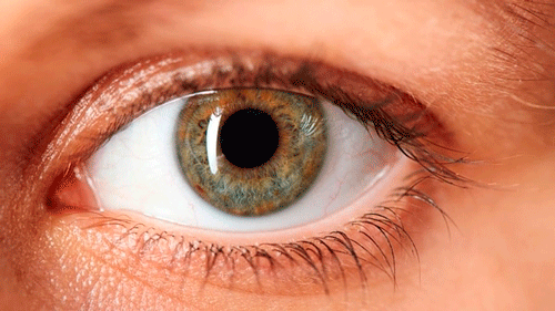 El ojo El ojo