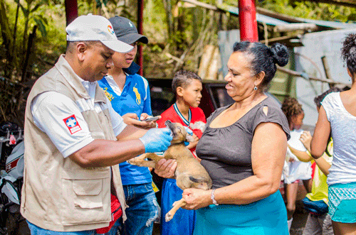 Autoridad sanitaria del Cauca insiste en la Tenencia Responsable de Mascotas como método de autocuidado para prevenir la rabia Autoridad sanitaria del Cauca insiste en la Tenencia Responsable de Mascotas como método de autocuidado para prevenir la rabia