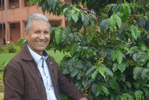El Comité de Cafeteros El Comité de Cafeteros