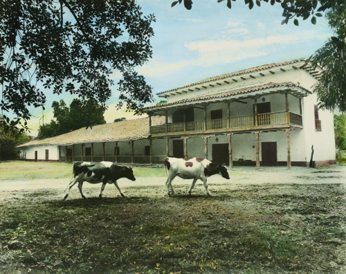 Calendario Propal 2019 rinde homenaje a Fernell Franco