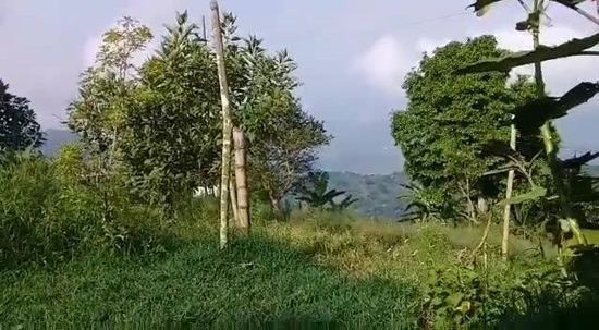 Norte del Cauca sigue bajo fuego
